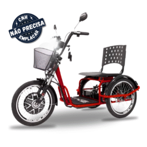 TRICICLO ELÉTRICO DUOS 800W **AUTOPROPELIDO**